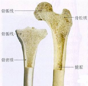 博艺堂bo98检测对预防骨质疏松的必要性